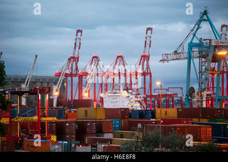 Britischen Exporte und Importe werden entladen und geladen in Seaforth Docks, Liverpool2, Merseyside, Großbritannien Stockfoto