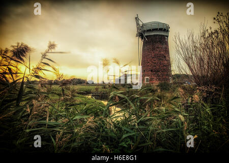 Horsey Windmühle Stockfoto