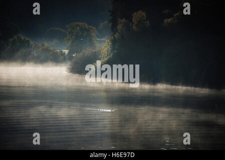 Am frühen Morgennebel steigt auf Derwentwater im englischen Lake District. Stockfoto