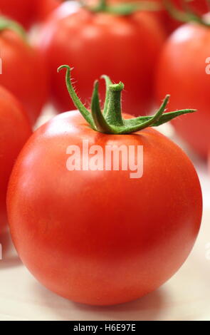 Frische Cedrico Sorte Tomaten Stockfoto