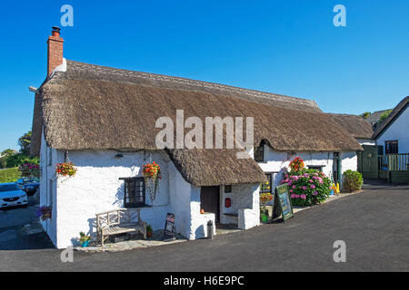 Ein Reetdach Dorfkneipe in Holywell Bay in Cornwall, Großbritannien Stockfoto