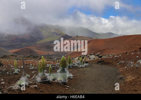 Morgen Bilder der Nebel Abbrennen in den bunten Haleakala Krater Haleakala National Park, Maui, Hawaii Stockfoto