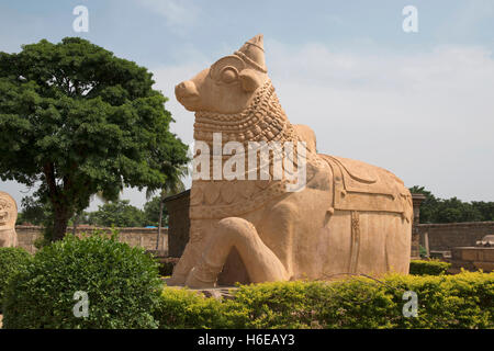 Riesigen Nandi-Stier am Eingang, Brihadisvara-Tempel, Gangaikondacholapuram, Tamil Nadu, Indien. Stockfoto