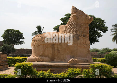 Riesigen Nandi-Stier am Eingang, Brihadisvara-Tempel, Gangaikondacholapuram, Tamil Nadu, Indien. Stockfoto