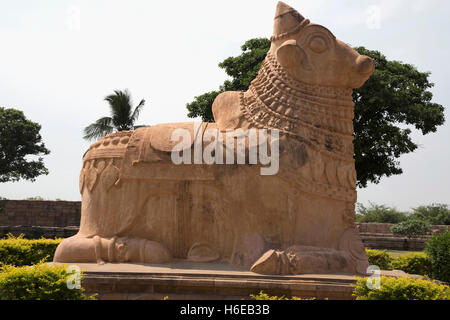 Riesigen Nandi-Stier am Eingang, Brihadisvara-Tempel, Gangaikondacholapuram, Tamil Nadu, Indien. Stockfoto