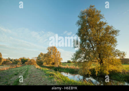 Herbstabend am Barcombe Mills, East Sussex, England. Ouse Valley. Stockfoto