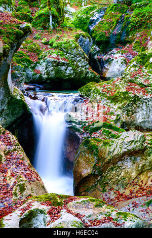 Mountain Creek Herbst im Lepena-Tal in Slowenien Stockfoto