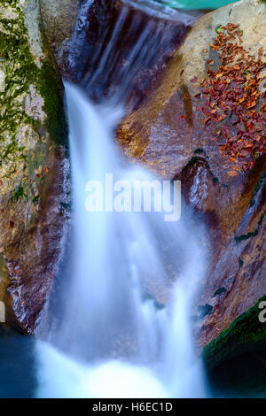 Mountain Creek Herbst im Lepena-Tal in Slowenien Stockfoto