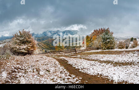 Erster Schnee im Herbst. Schneefall in Bergdorf. Schnee auf einen grünen Baum. Stockfoto