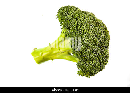 Frisch geschnittene Kopf Brokkoli isoliert auf weißem Hintergrund Stockfoto