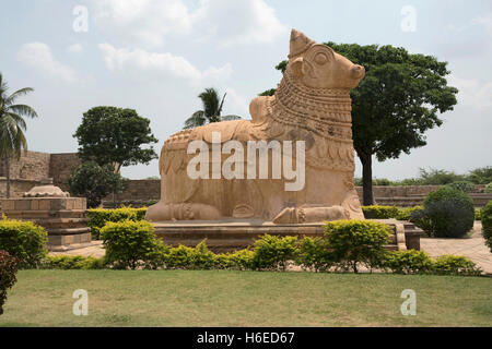 Riesigen Nandi-Stier am Eingang, Brihadisvara-Tempel, Gangaikondacholapuram, Tamil Nadu, Indien. Stockfoto