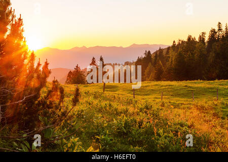 Die Sonne geht hinter den Bergen und strahlt ein warmes Licht über Alpweiden umgeben von treed. Stockfoto