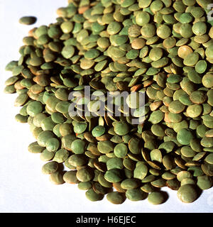 Ungekocht grüne Linsen Stockfoto