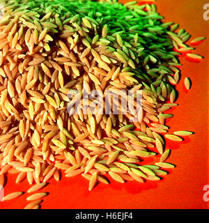 Ungekocht Orzo Pasta Stockfoto