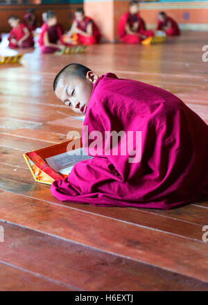 Junge Novize blickt von seinem Studium in Mongar Dzong. Stockfoto