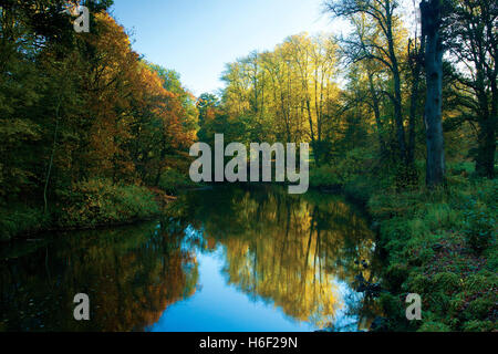 Herbstfarben und die Karre Wildwasser, Linn Park, Glasgow Stockfoto