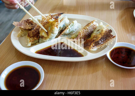 North Miami Beach Florida, Dumpling King, Restaurant Restaurants Essen Essen Essen Café Cafés, chinesisch, innen, gebraten, Essstäbchen, Sauce, FL160807026 Stockfoto