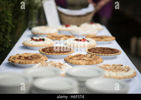 Drei Kuchen beim Abkühlen Racks. Hohen Winkel Closeup Schuss frisch gebackener Apfel, Kirsche und Kürbis Gebäck auf Draht Racks auf einem rustikalen Stockfoto