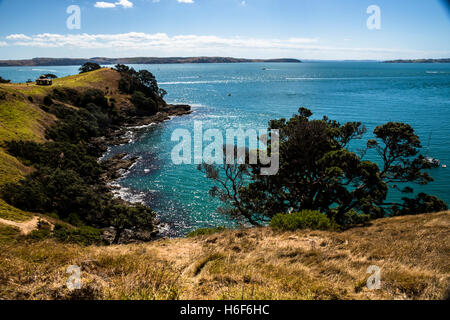 Die Küste der Wiaheke Insel in der Nähe von Auckland, Neuseeland. Stockfoto