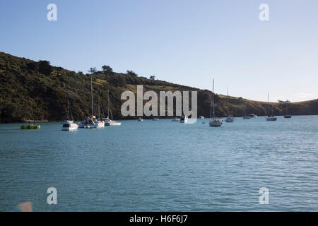 Segelboote angedockt off Shore Waiheke Island in der Nähe von Auckland, Neuseeland. Stockfoto