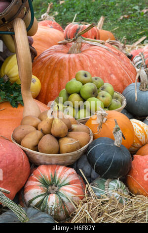 Kürbis, Kürbis und Obst anzeigen auf der RHS Wisley Herbst Show, Surrey, England Stockfoto