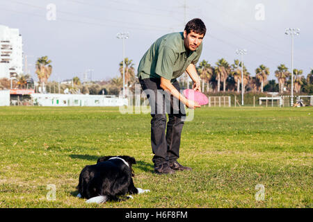 Ein Border-Collie Hund Spaß spielen Frisbee mit seinem Besitzer im Park an einem sonnigen Tag. Stockfoto