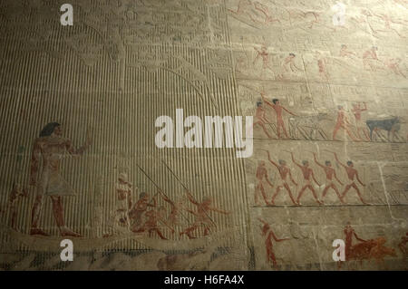 Ägypten. Sakkara. Mastaba des Ti. Ca. 2400 v. Chr. 5. Dynastie. Altes Königreich. Relief Darstellung Jäger Nagelung seine Lanzen in die Flusspferde und Krokodile neben einer ranching Szene. Stockfoto