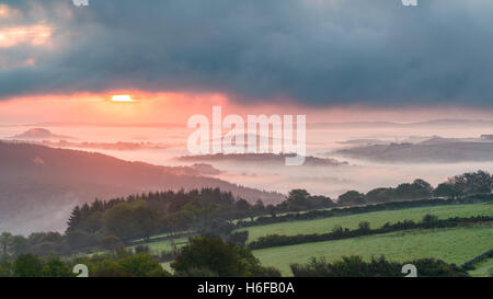 Morgenhimmel und Nebel über Holne Chase von Mel Tor, Dartmoor, UK Stockfoto