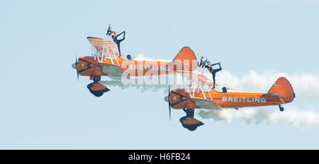 Breitling-Flügel-Wanderer bei Eastbourne Airshow 2015 Stockfoto