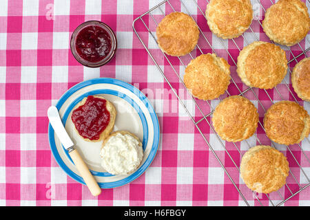 Hausgemachte Scones mit Marmelade und Sahne Stockfoto