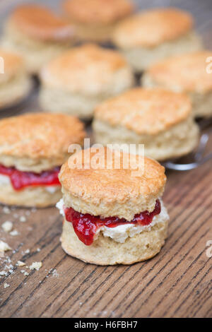 Hausgemachte Scones mit Marmelade und Sahne Stockfoto