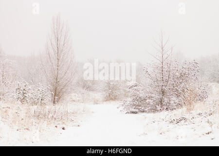 Winterlandschaft mit Schnee bedeckt, Bäumen und Pfad in den Wald in Huddersfield, Yorkshire, England Stockfoto