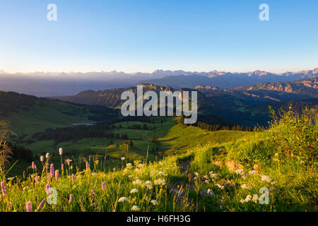 Grasgehren und Besler, Blick vom Riedberger Horn, Riedbergerhorn, obere Allgäu, Allgäu, Schwaben, Bayern, Deutschland Stockfoto