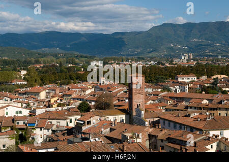 Blick vom Torre Guinigi Ausschau auf die Stadt Lucca, Toskana, Italien, Europa Stockfoto