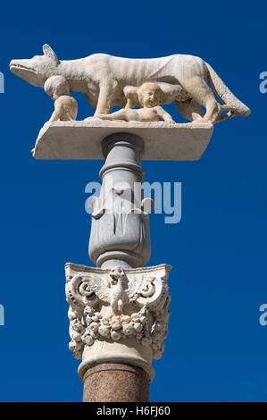 Römische Wölfin vor dem Dom, Siena, Unesco World Heritage Site, Toskana, Italien, Europa Stockfoto