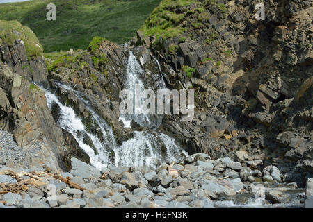 Wasserfall bei Welcombe Mund, Hartland Halbinsel North Devon Coast Stockfoto