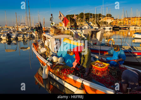 Angelboote/Fischerboote im Hafen, Marina, alten Hafen. Dorf von Sanary-Sur-Mi. Var Abteilung, Provence-Alpes-Cote d ' Azur Frankreich Stockfoto