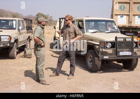 Undatiertes Bild von Kensington Palast von Prinz Harry (rechts), freigegeben, während er in Malawi mit African Parks als Teil einer Initiative mit Umzug 500 Elefanten über 350 Kilometer über Malawi Liwonde Nationalpark und Majete Wildlife Reserve in Nkhotakota Wildlife Reserve tätig. Stockfoto