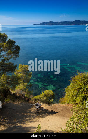 Mittelmeer und Kiefern, Corniche des Maures. Le Lavandou. Departement Var, Provence-Alpes-Cote d ' Azur. Côte d ' Azur Frankreich Stockfoto