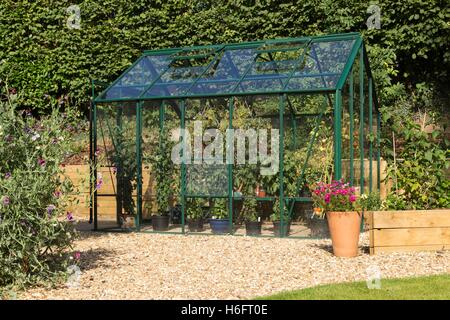 Ein grünes Gewächshaus aus Metall, belüftete Dachfenster, Schiebetüren, Tomaten und Chrysanthemen Stockfoto