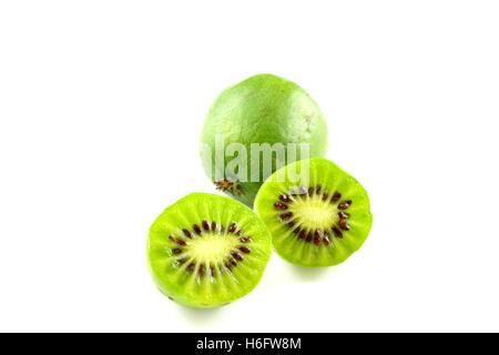 winterharte Kiwi Früchten isoliert Stockfoto