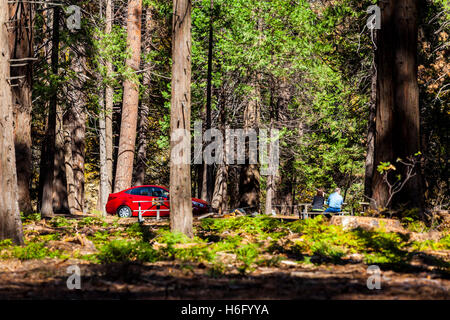 Ein Mann und eine Frau genießen Mittagessen beim Sentinel Picknickplatz im Yosemite-Nationalpark, Kalifornien USA Stockfoto