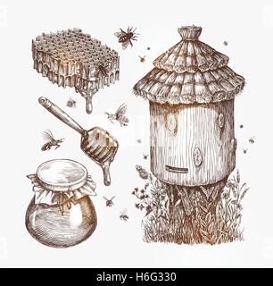 Honig, Imkerei, Bienen-Sammlung-Skizze-Vektor-illustration Stock Vektor