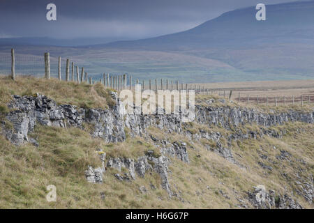 Textzeile Fechten und Blick über Hügel, Pen-y-Gent von Sulber Nick, Crummackdale, Yorkshire Dales, North Yorkshire, UK Stockfoto