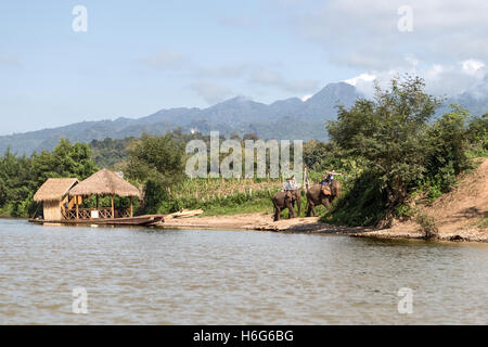 Asiatischer (asiatischer) Elefant, Elephas maximus, Überquerung Nam Khan Fluss, Hausboot, ElephantVillage, Ban Xieng Lom, Luang Prabang, Laos Stockfoto