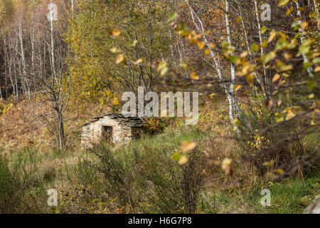 Eine ländlichen Hütte inmitten der Natur in Herbstfärbung Herbst Farben Laub in den Wäldern von Norther Italien Stockfoto
