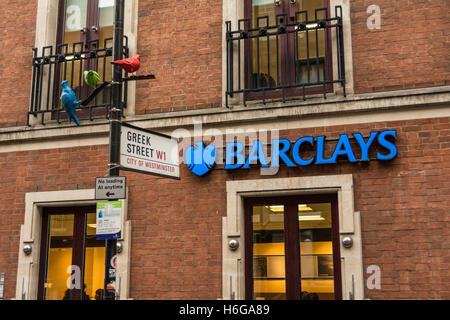 Patrick Murphy's Tauben ruhen auf dem Straßenschild vor Barclay's Bank auf der Greek Street London, UK Stockfoto