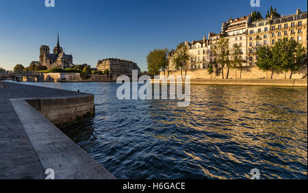 Notre Dame de Paris und die Seine (Quai d ' Orléans) bei Sonnenuntergang. Ile Saint Louis und Ile De La Cite, Paris, Frankreich Stockfoto
