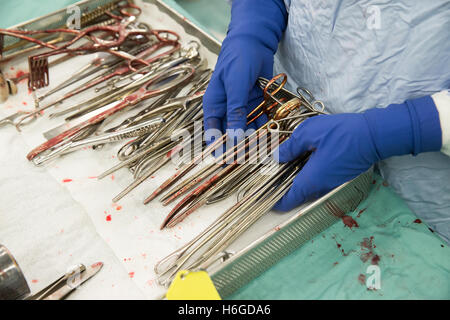 Technikers Hand hält chirurgische Instrumente mit Blut-Schellen, Skalpelle und Schere in einem Fach im Operationssaal angelegt Stockfoto