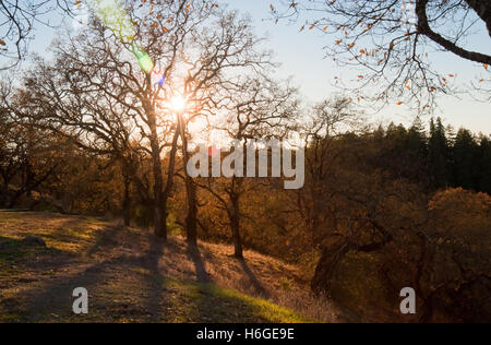 Ansicht von Sonoma County, CA Stockfoto